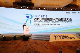 电装中国 传承匠心发力中国市场