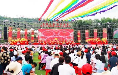 通渭县人民政府门户网站 通渭要闻 【多彩艺术节】第六届丝绸之路(敦煌)国际文化博览会分项活动第十二届通渭书画文化艺术节隆重开幕