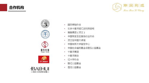 坤润利成黄金珠宝,国际琥珀文化节活动策划方案